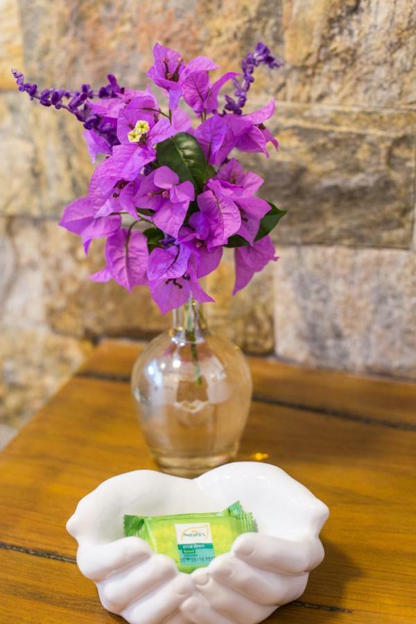 Vilarejo Guesthouse - Silencio E Aconchego Алту-Параизу-ди-Гояс Экстерьер фото